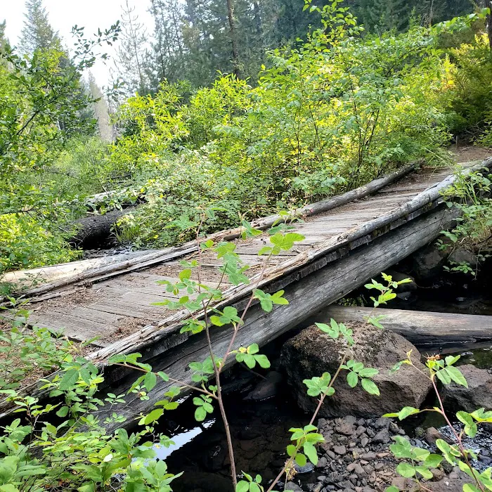 Daley Creek Campground Picture 5