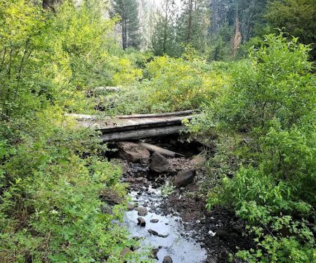 Daley Creek Campground