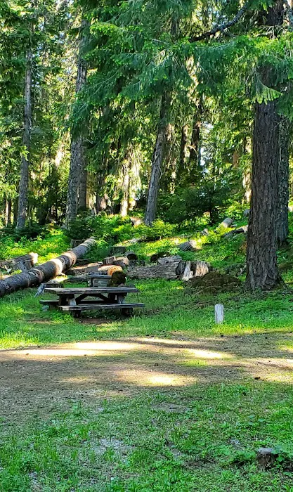 Daley Creek Campground Picture 4