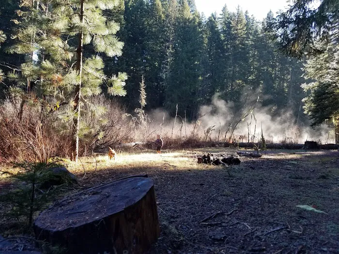 Beaver Dam Campground Picture 4