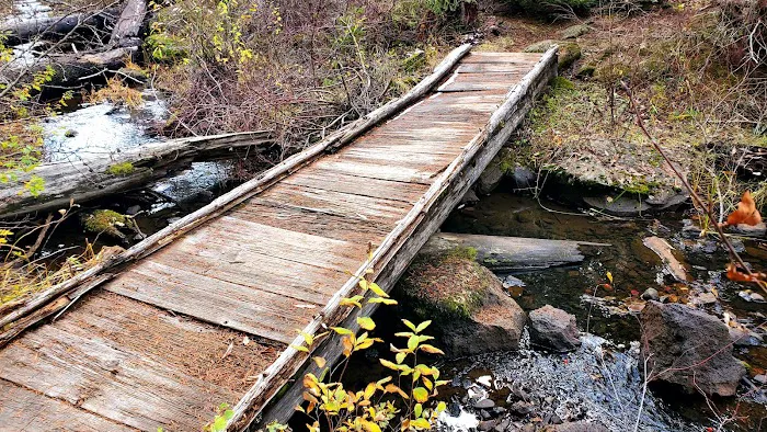 Beaver Dam Campground Picture 1