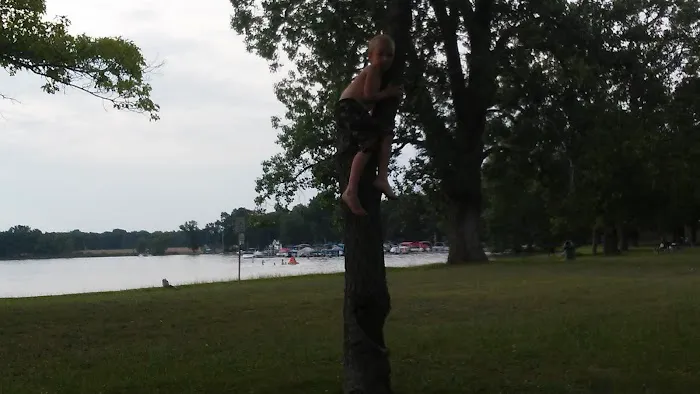Vinings Trailer Park Picture 2