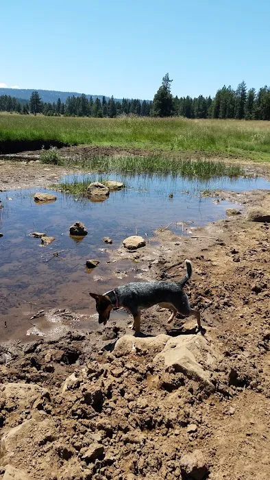 Lily Glen Campground Picture 1
