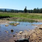 Lily Glen Campground