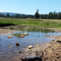 Lily Glen Campground ico