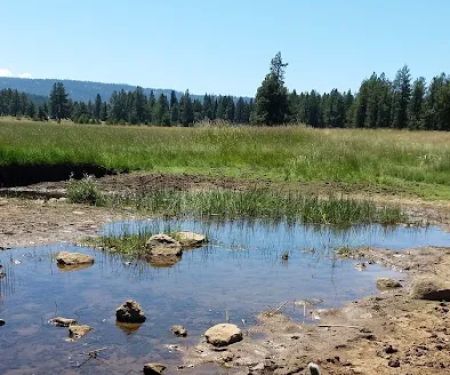 Lily Glen Campground