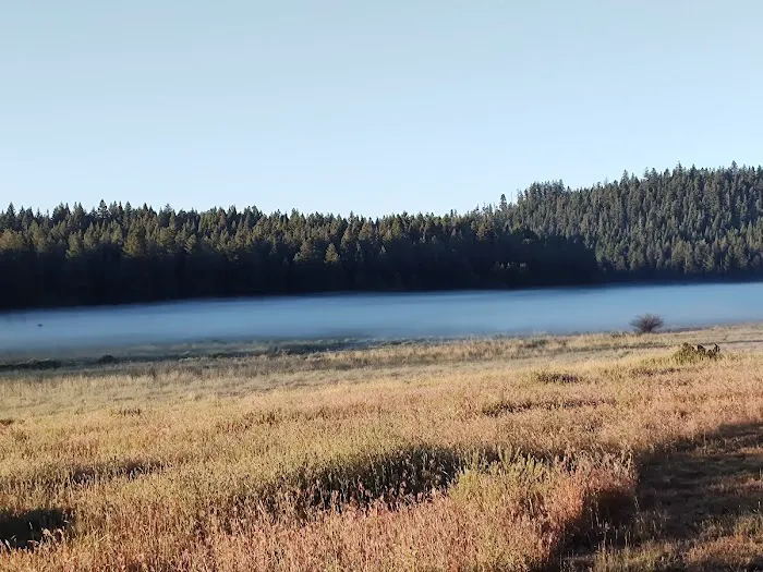 Lily Glen Campground Picture 7