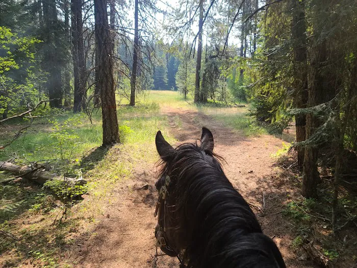 Lily Glen Campground Picture 10