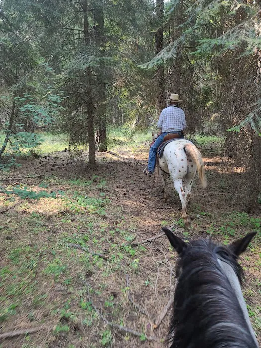 Lily Glen Campground Picture 8