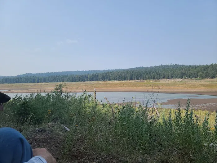 Lily Glen Campground Picture 5