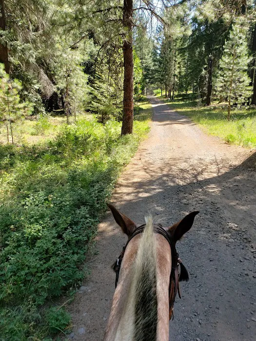 Lily Glen Campground Picture 6