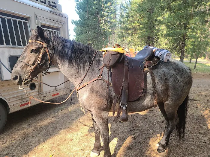 Lily Glen Campground Picture 9