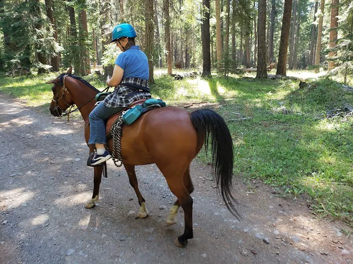 Lily Glen Campground Picture 2