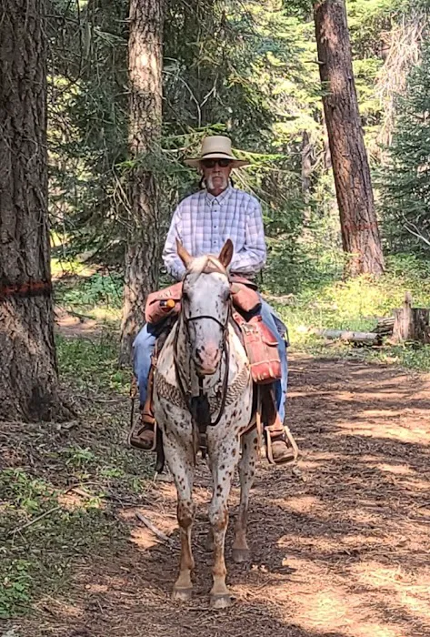 Lily Glen Campground Picture 4