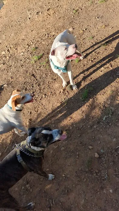 Rock Quarry Picture 6