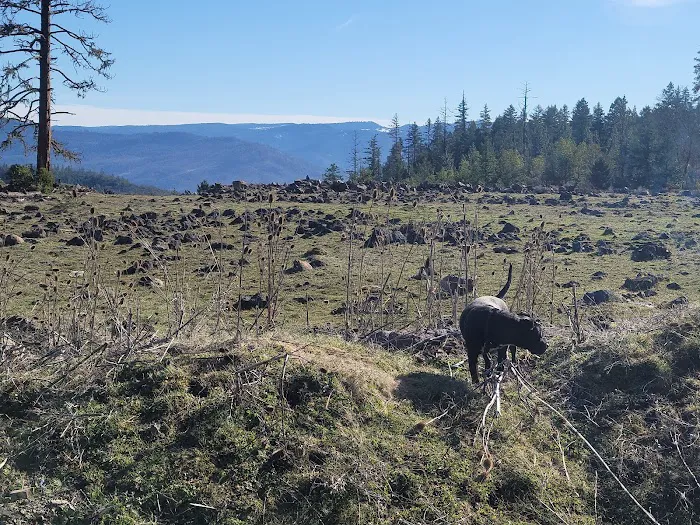 Salt Creek Gravel Pit Picture 6
