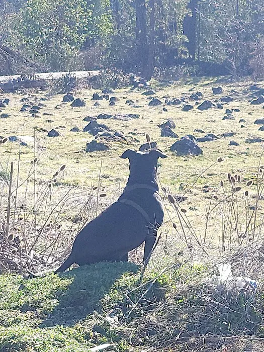 Salt Creek Gravel Pit Picture 7