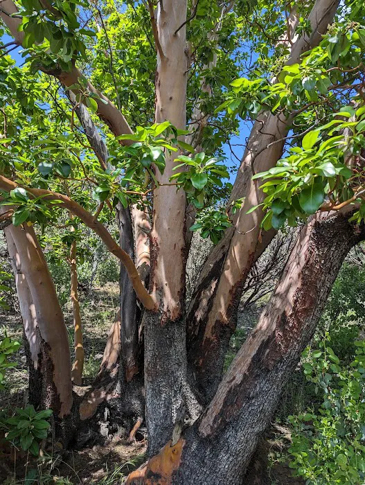 Emigrant Lake County Campground Picture 10