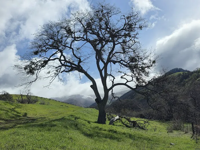 Emigrant Lake County Campground Picture 4