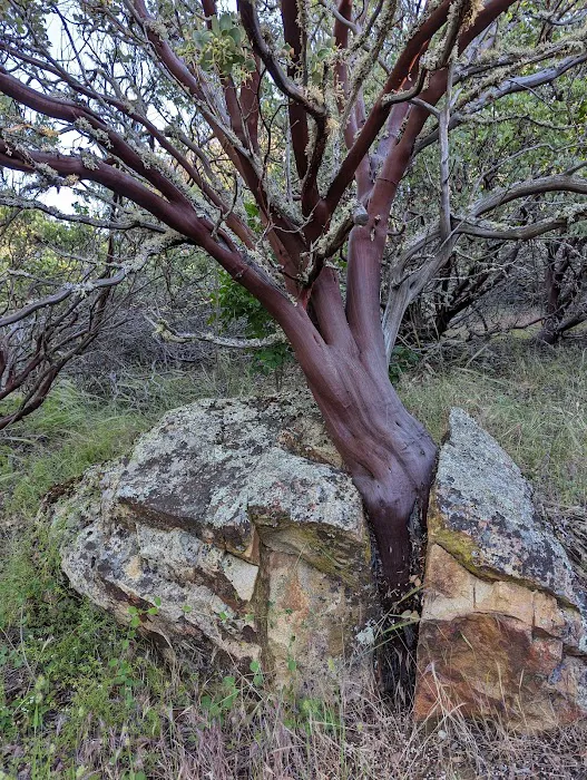 Emigrant Lake County Campground Picture 6