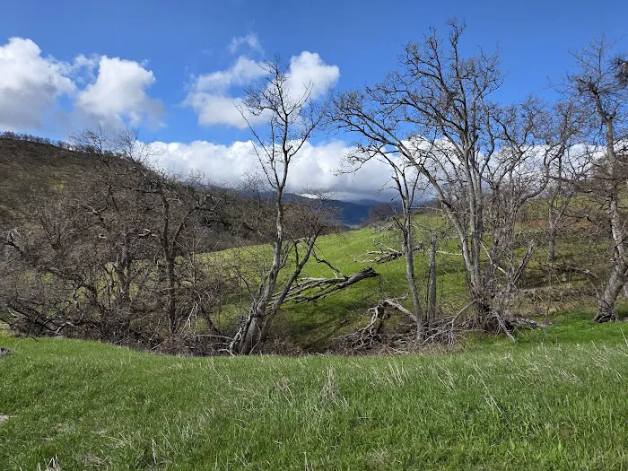 Emigrant Lake County Campground Picture 5