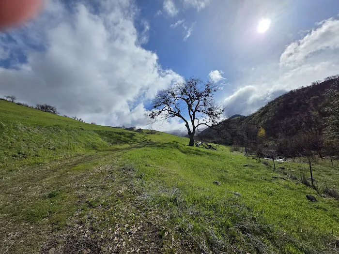 Emigrant Lake County Campground Picture 9