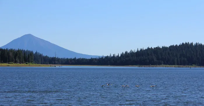 Hyatt Lake Recreation Area Picture 2
