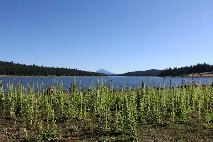 Hyatt Lake Recreation Area Picture 10