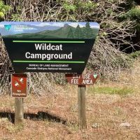 Wildcat Campground ico
