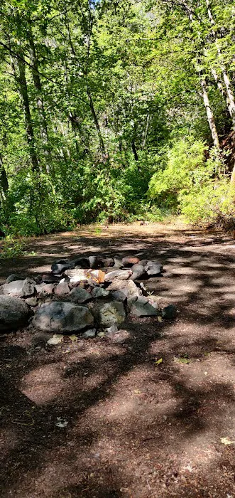 Beaver Creek Campground Picture 2