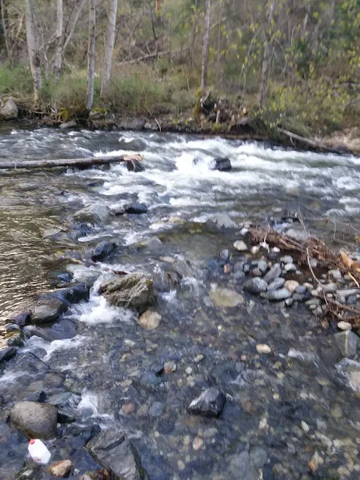 Beaver Creek Campground Picture 1