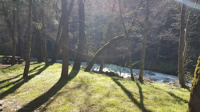 Beaver Creek Campground Picture 6