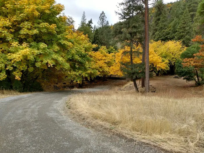 Beaver Creek Campground Picture 10