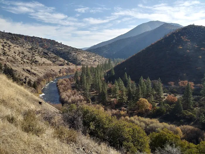 Tree of Heaven Campground Picture 1