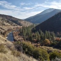 Tree of Heaven Campground ico