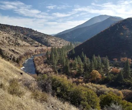 Tree of Heaven Campground
