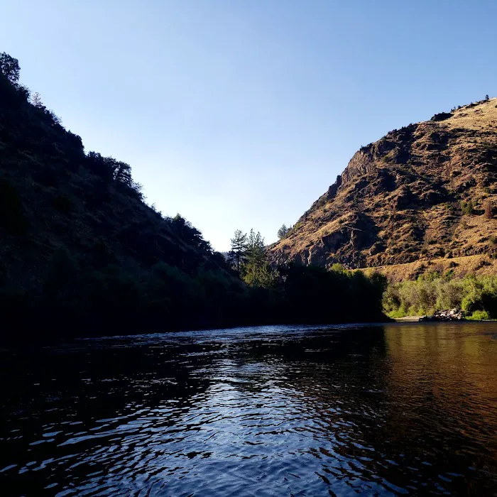 Tree of Heaven Campground Picture 6