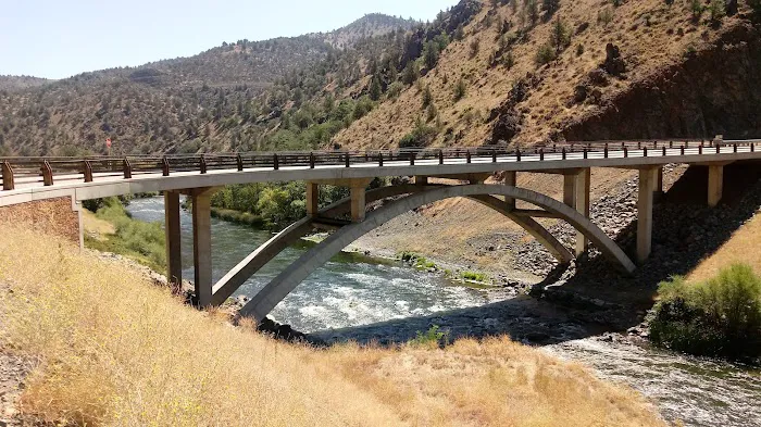 Tree of Heaven Campground Picture 5