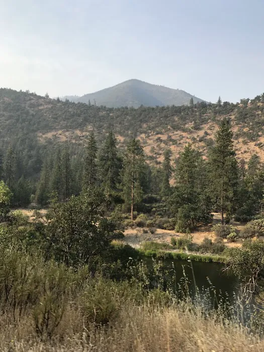 Tree of Heaven Campground Picture 10