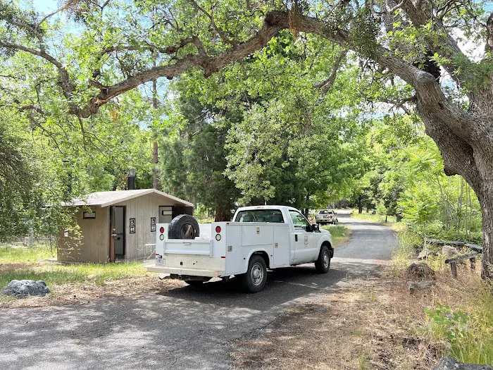 Tree of Heaven Campground Picture 7