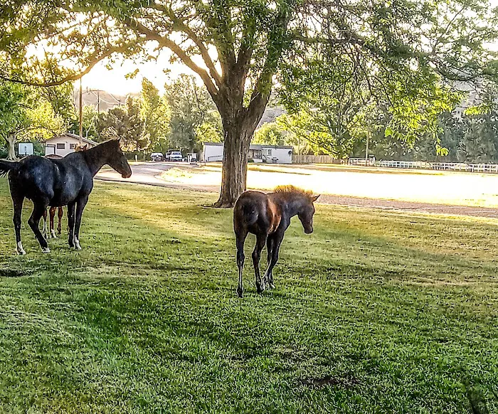 KRCE campground - members only Picture 7