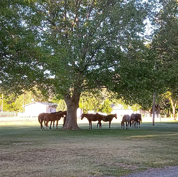 KRCE campground - members only Picture 8