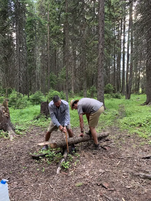 Schafer Airfield Campground Picture 6
