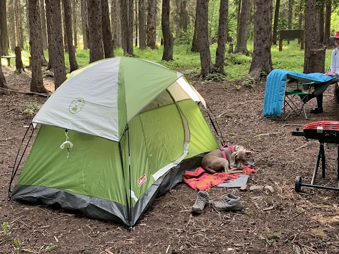 Schafer Airfield Campground Picture 5