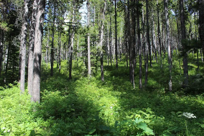 Summit Campground Picture 7