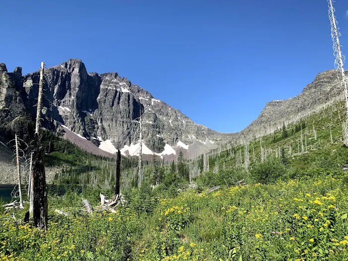 Upper Park Creek Campground Picture 4