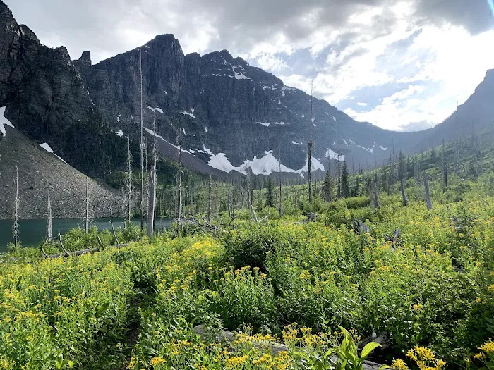 Upper Park Creek Campground Picture 5