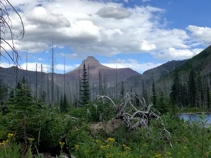 Upper Park Creek Campground Picture 8