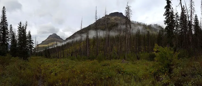 Upper Park Creek Campground Picture 6