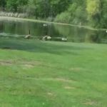 Country Manor Mobile Home Park & Mini Storage